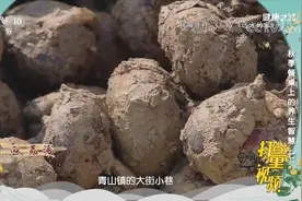 马蹄味甜多汁功效多，秋季喝一碗甘蔗马蹄水，清润肠胃|健康之路视频封面