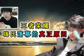 曾经的国服火舞嗨氏，为何惨遭封杀  网友：自己太膨胀视频封面