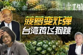 司马南：菠萝变炸弹，台湾鸡飞狗跳视频封面