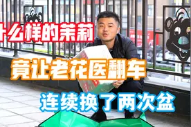 茉莉开箱，居然翻车了。是什么样的茉莉让我连续换盆换土两次？视频封面