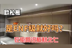 衣柜板材水太深！大品牌都用欧松板做柜门，气味大当心环保超标视频封面