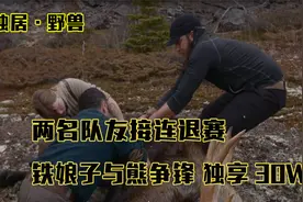 小伙三人荒野生存，徒手与黑熊争锋搏斗，将死亡麋鹿当做美食视频封面