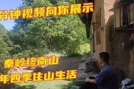 3分钟视频，带你领略终南山住山生活的一年四季，太让人向往了视频封面
