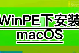 0基础使用WinPE恢复安装MacOS苹果系统，1分钟安装一台自己的Mac视频封面