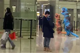 爸爸带孩子装扮成恐龙接机，妈妈反应笑翻网友：头都不回地走了视频封面