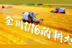 粮仓里的中国丨中原粮仓视频封面