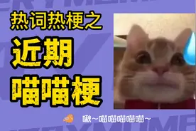 喵喵梗合集 happ猫 香蕉猫 歪嘴猫 岩浆猫 臭猫是什么梗？