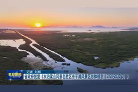 水泊梁山风景名胜区东平湖风景区总体规划(2020-2035年)获省批复视频封面