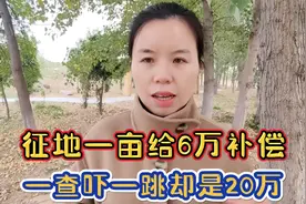 农村征地补偿6万一亩还是20万一亩，征地补偿标准是怎样的视频封面