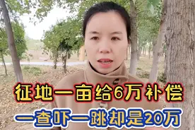 农村征地补偿6万一亩还是20万一亩，征地补偿标准是怎样的视频封面