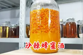 6斤沙棘加点蜂蜜，农家自酿酸甜爽口的沙棘蜂蜜酒视频封面