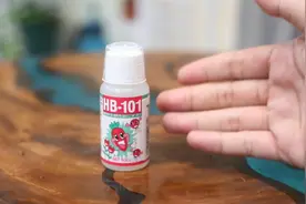 养花快养死了怎么办？园艺师教你，用HB101，就能救活它
