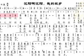动态谱-沈阳啊沈阳，我的故乡视频封面