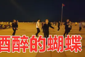 轻快醉人意舞蹈《酒醉的蝴蝶》歌词感人简单好嗨 原创附教学分享视频封面