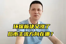 A股分化整理，环保板块又涨了，后市主要方向在哪？视频封面