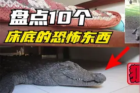 巨型鳄鱼潜伏床底，男子睡醒才发现？！盘点10个在床底的恐怖东西