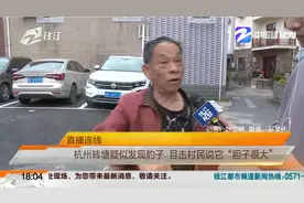 杭州转塘疑似发现豹子 目击村民说它“胆子很大”视频封面