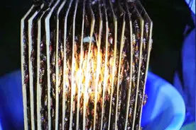 中国建世界最大蟑螂工厂，养10亿只蟑螂，每天消灭50吨垃圾