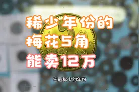 12万！少见年份的梅花5角，你还有吗？视频封面