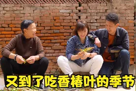 儿媳想吃香椿叶，婆婆一叶两做法，又是煎炒又是腌制，过嘴瘾了视频封面