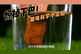 几个不可思议的物理小实验，陪孩子一起在科学实验中涨知识吧！