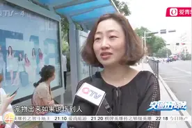 想带宠物上公交车？先看看这些规定，若强行带上车司机将报警处理