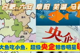 中央上收安徽合肥六安阜阳马鞍山芜湖6明星企业，从此皖企变央企视频封面
