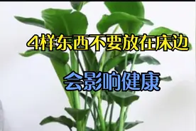 在日常生活中，有4样东西最好不要放在床边，看看你做了没！视频封面