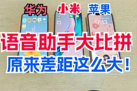 华为、小米、苹果语音助手哪家最强？看完明白了，原来差距这么大视频封面