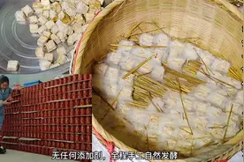 二丫教你做桂林四塘纯手工腐乳，从发酵放配料到成品，她毫无保留视频封面