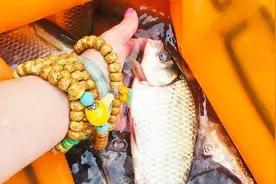 有了这两个小窍门，冰箱冻鱼可以保鲜几个月，大家可以试一试！视频封面