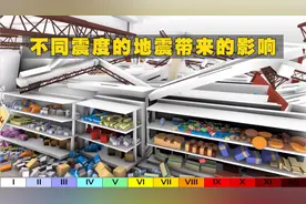 视频模拟12级地震震度对超市产生的影响视频封面
