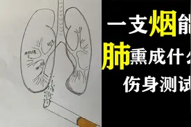 你的肺什么颜色一支烟对肺伤害有多大，烟焦油粘住就掉不了，亲测
