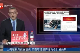 上街遛狗只能在凌晨 云南昭通最严遛狗令引发热议视频封面