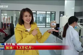 【两会有数】全国粮食产量1.37万亿斤，增产74亿斤！加油！视频封面
