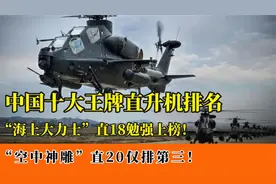 中国十大王牌直升机排名：直18勉强上榜，直20仅排第三！