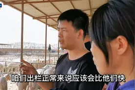 唐县的羊180天出栏，内蒙的羊160天出栏，为啥相差这么大？视频封面