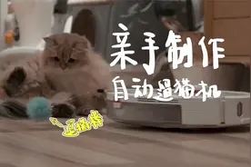 把扫地机器人改造成自动遛猫机，麻糬这懒猫居然直接躺地上？