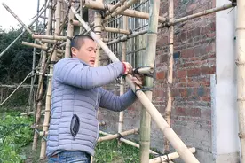 桂林小伙教你用编织绳扎竹架子，步骤简单，十几层楼都不会下滑