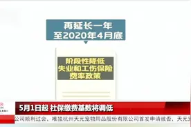 5月1日起，社保缴费基数调低！明细出炉视频封面