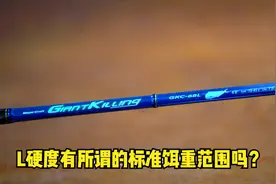 标注L硬度，最大饵重45g的路亚竿是什么样子的视频封面