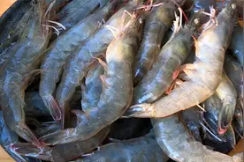 大虾的虾头和虾壳不要扔掉了，教你秘制做法，鲜香味美，拌面真香