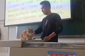 猫咪闯入大学课堂 随后被老师请上讲台客串“教具” 全程乖巧配合视频封面