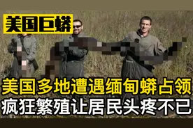巨蟒在美国泛滥成灾，无恶不作疯狂繁殖，为什么拿它们没有办法？视频封面