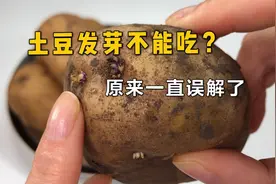发芽的土豆还能吃吗？原来都误解了，扔掉实在浪费视频封面