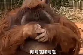 搞笑视频：你看我表情，没有在笑吧