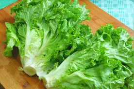 生菜焯水惹争议，到底用不用焯水呢？大厨这样做，口感脆嫩不变色