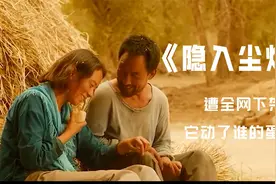《隐入尘烟》遭全网下架，它动了谁的蛋糕？央媒点评一针见血视频封面