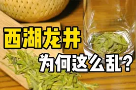 西湖龙井为何这么乱？高价也买不到正宗龙井？“真假龙井”咋辨别视频封面