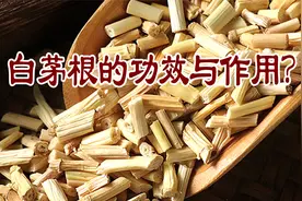 白茅根的功效与作用？视频封面